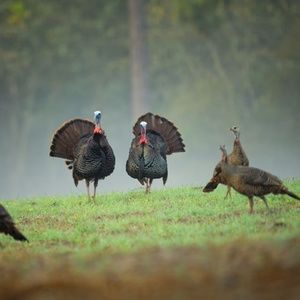 Meet your Posher, Scott